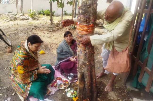 Betul Samachar : आंवला नवमी हर्षोउल्लास से मनाई