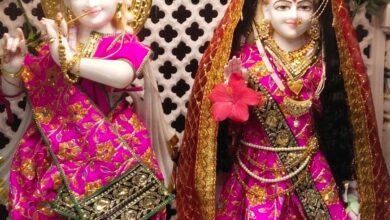 Betul News : श्री माता मंदिर में अन्नकूट पर हुआ विशाल भंडारा, श्रद्धालुओं ने ग्रहण किया प्रसाद