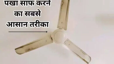 Ceiling Fan Cleaning tips : दिवाली से पहले पंखा साफ करने की निंजा टेक्निक, 2 चीजों से करें सफाई, चमक उठेगा कोना-कोना