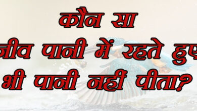 GK Questions : कौन सा जीव पानी में रहते हुए भी पानी नहीं पीता?...