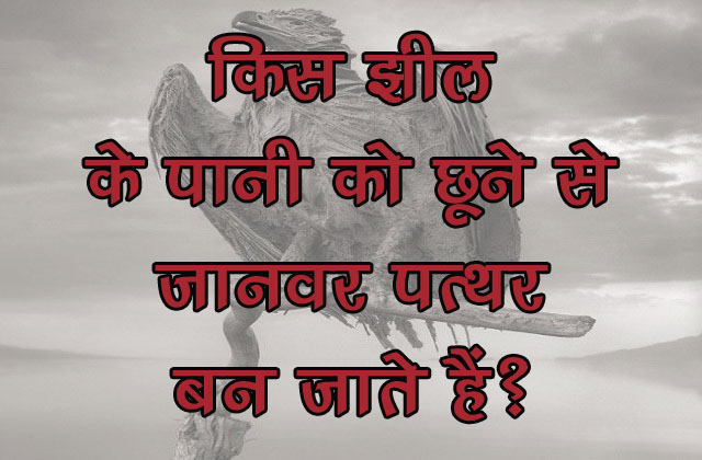 GK Questions : किस झील के पानी को छूने से जानवर पत्थर बन जाते हैं?...