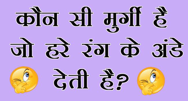 GK Questions : कौन सी मुर्गी है जो हरे रंग के अंडे देती है?...