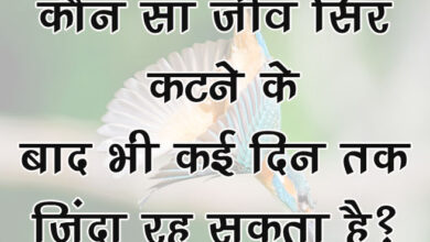 GK Questions : कौन सा जीव सिर कटने के बाद भी कई दिन तक जिंदा रह सकता है?...