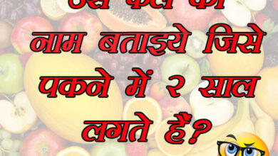 GK Questions : उस फल का नाम बताइये जिसे पकने में 2 साल लगते हैं?...