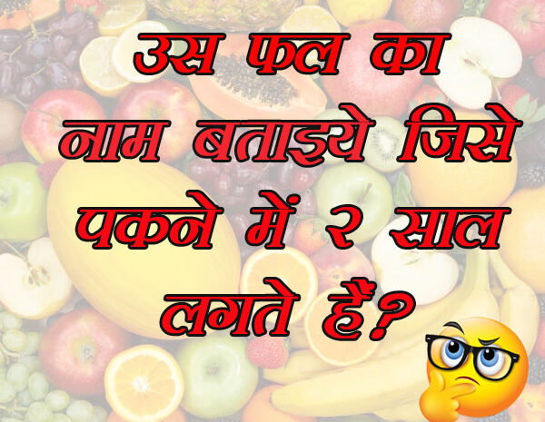GK Questions : उस फल का नाम बताइये जिसे पकने में 2 साल लगते हैं?...