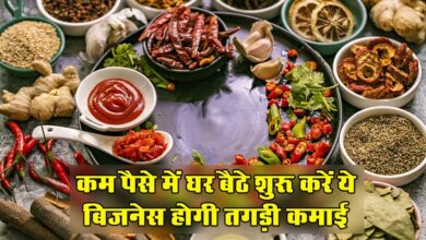 Business Idea : कम पैसे में घर बैठे शुरू करें ये बिजनेस होगी तगड़ी कमाई