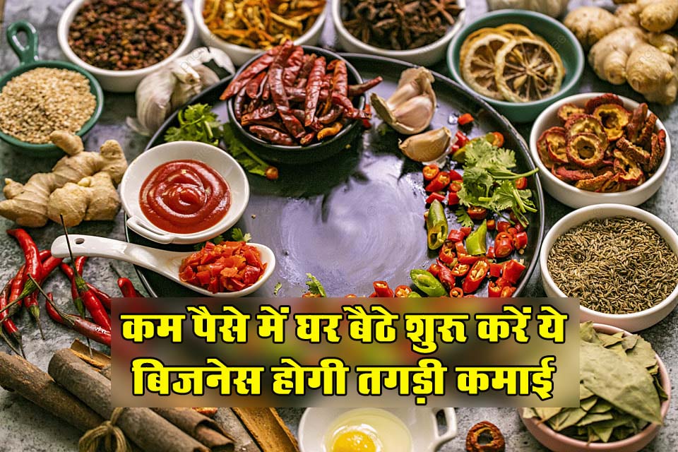 Business Idea : कम पैसे में घर बैठे शुरू करें ये बिजनेस होगी तगड़ी कमाई