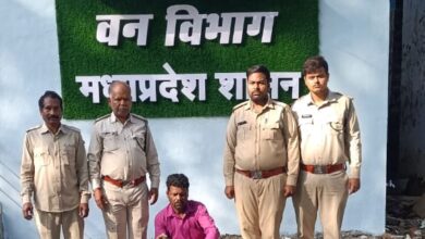 Betul Forest News : वन विभाग ने किया रेड सैंड बोआ सांप का रेस्क्यू, तस्करी के आरोप में एक गिरफ्तार