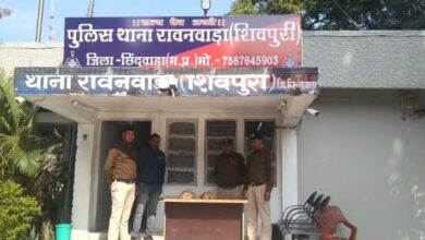 Chhindwara News : परासिया पुलिस ने जब्त किये दो कछुये