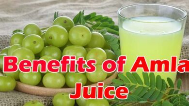 Benefits of Amla Juice : सुबह खाली पेट आंवला जूस पीने से सेहत को मिलते है जबरदस्त फायदे, पेट की समस्याओं से भी पाए छुटकारा..
