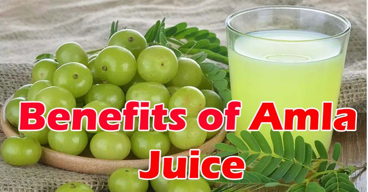 Benefits of Amla Juice : सुबह खाली पेट आंवला जूस पीने से सेहत को मिलते है जबरदस्त फायदे, पेट की समस्याओं से भी पाए छुटकारा..