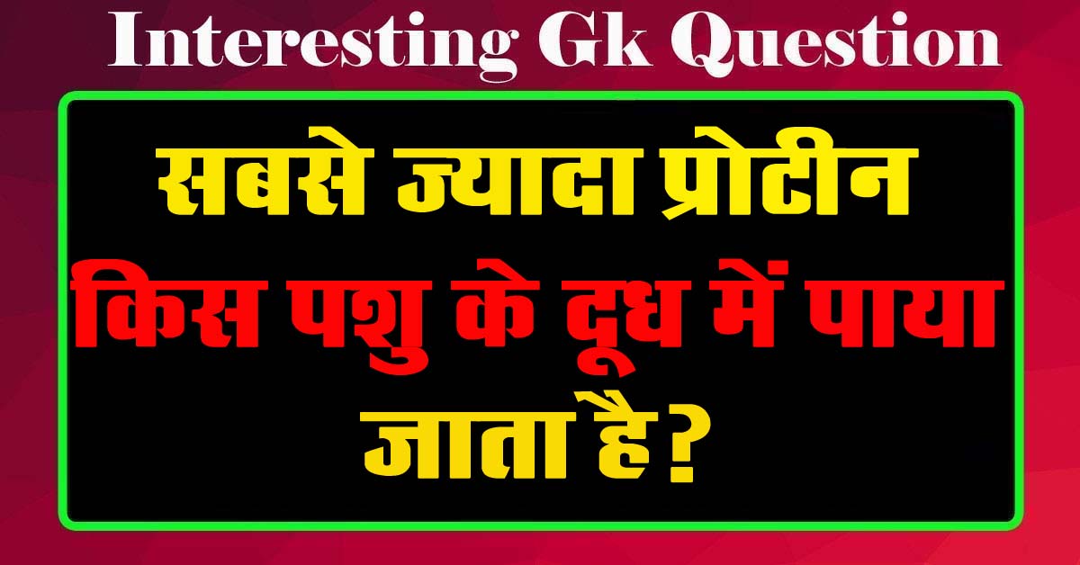 GK Questions : सबसे ज्यादा प्रोटीन किस पशु के दूध में पाया जाता है?...