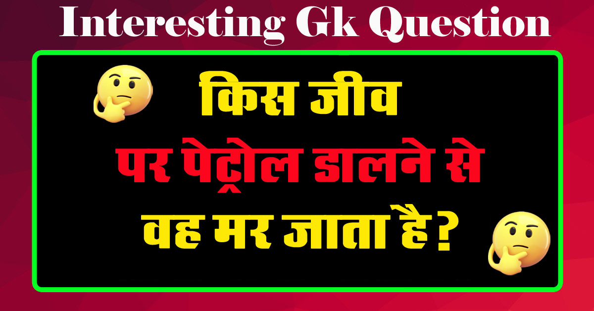 GK Questions : किस जीव पर पेट्रोल डालने से वह मर जाता है?...