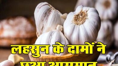 Garlic Price Hike : सर्दी आते ही लहसुन के दामों ने छुआ आसमान! अब इतनी बढ़ गई है कीमत