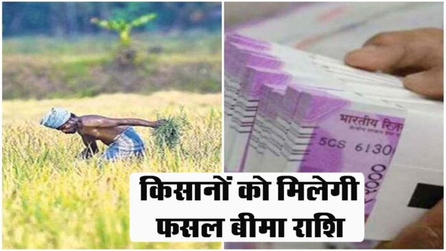 Betul News : उपभोक्ता आयोग बैतूल का आदेश, किसानों को मिलेगी फसल बीमा राशि