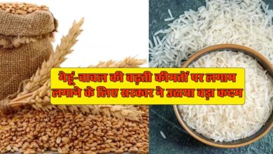 Rice and Wheat Price : गेहूं-चावल की बढ़ती कीमतों पर लगाम लगाने के लिए, सरकार ने उठाया बड़ा कदम