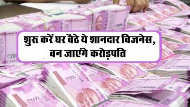 Business Idea : बंपर कमाई के लिए शुरू करें घर बैठे ये शानदार बिजनेस, बन जाएंगे करोड़पति