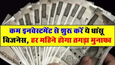 Business Idea : कम इनवेस्टमेंट से शुरू करें ये धांसू बिजनेस, हर महिने होगा तगड़ा मुनाफा, जानें पूरी डिटेल