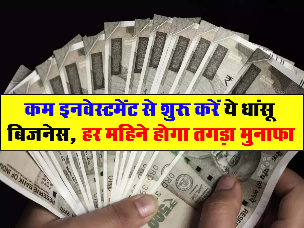 Business Idea : कम इनवेस्टमेंट से शुरू करें ये धांसू बिजनेस, हर महिने होगा तगड़ा मुनाफा, जानें पूरी डिटेल