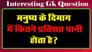 GK Questions : मनुष्य के दिमाग में कितने प्रतिशत पानी होता है?...