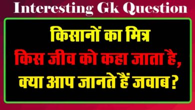 GK Questions : किसानों का मित्र किस जीव को कहा जाता है, क्या आप जानते हैं जवाब?...
