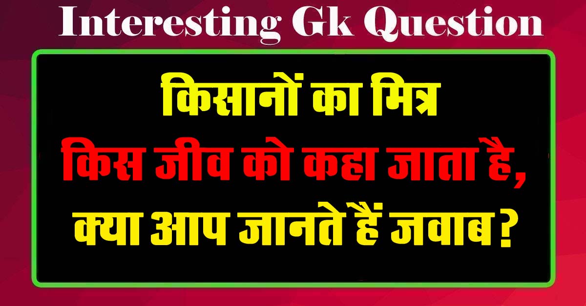 GK Questions : किसानों का मित्र किस जीव को कहा जाता है, क्या आप जानते हैं जवाब?...