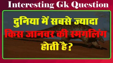 GK Questions : दुनिया में सबसे ज्यादा किस जानवर की स्मगलिंग होती है?...