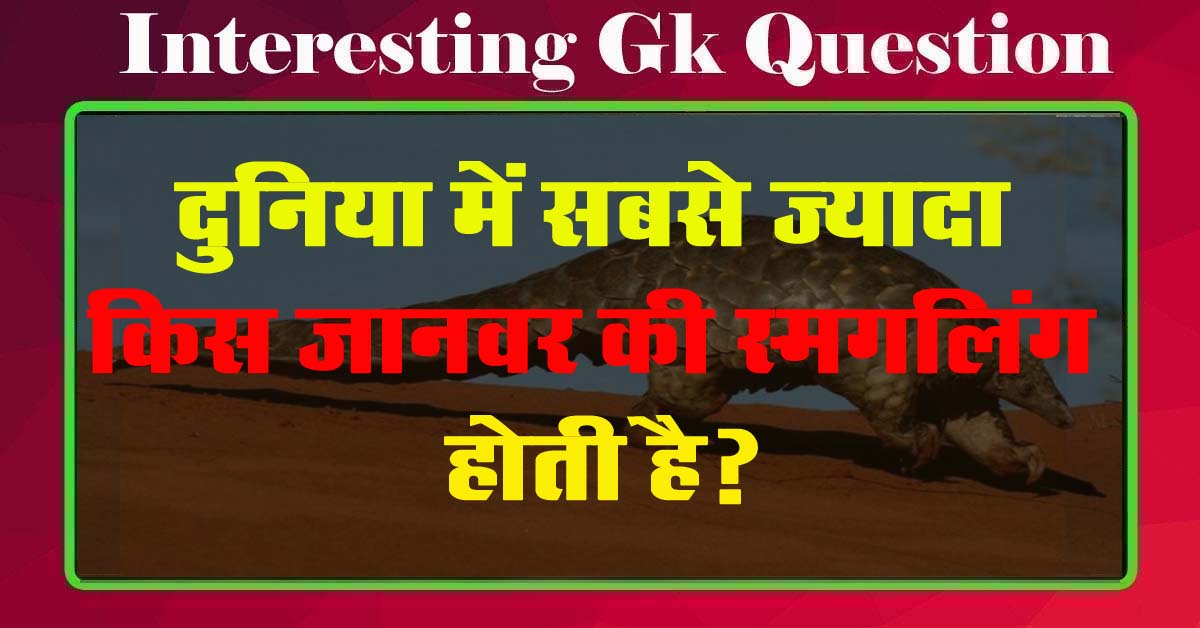 GK Questions : दुनिया में सबसे ज्यादा किस जानवर की स्मगलिंग होती है?...