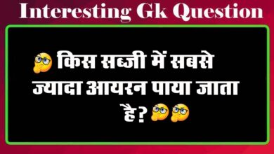 GK Questions : किस सब्जी में सबसे ज्यादा आयरन पाया जाता है?...