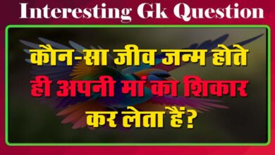 GK Questions : कौन-सा जीव जन्म होते ही अपनी मां का शिकार कर लेता हैं?...