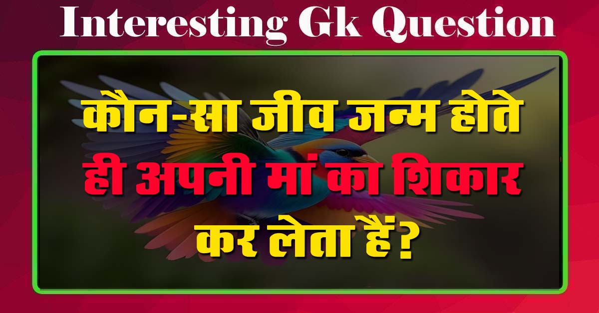 GK Questions : कौन-सा जीव जन्म होते ही अपनी मां का शिकार कर लेता हैं?...