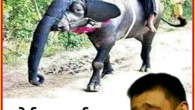 Majedar jokes : हम भारतीयों को समझना मुश्किल ही नहीं नामुमकिन है, भले ही घर का कोई भी बच्चा तुतलाता न हो...