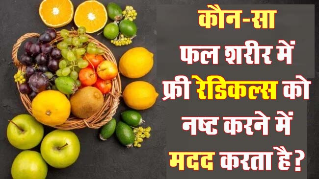 GK Questions : कौन-सा फल शरीर में फ्री रेडिकल्स को नष्ट करने में मदद करता है?