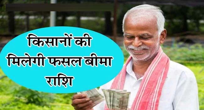 Betul News : भैंसदेही व मुलताई के किसानों की मिलेगी फसल बीमा राशि