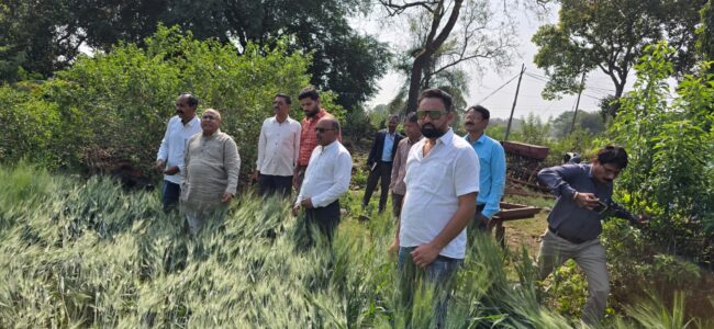Betul Today News : ओला प्रभावित किसानों के बीच पहुंचे विधायक हेमंत खण्डेलवाल, हर संभव मदद का दिया आश्वासन