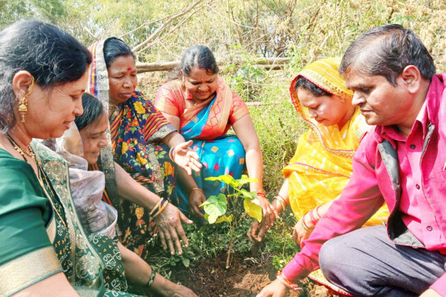 Betul Plantation News : शिक्षकों ने शिक्षिका की स्मृति में 101 पौधे लगाए