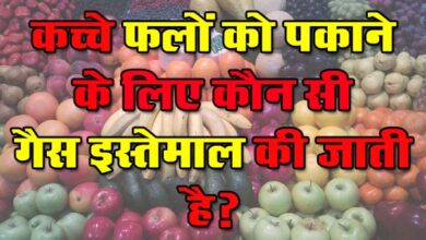 GK Questions : कच्चे फलों को पकाने के लिए कौन सी गैस इस्तेमाल की जाती है?...