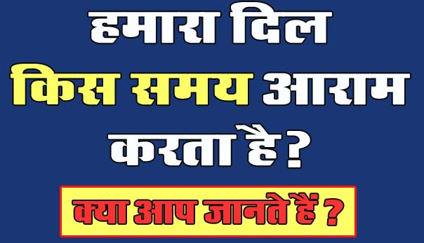 GK Questions : आखिर हमारा दिल किस समय आराम करता है?...