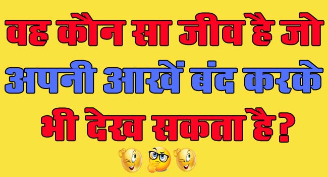 GK Questions : वह कौन सा जीव है जो अपनी आखें बंद करके भी देख सकता है?...