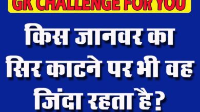 GK Questions : किस जानवर का सिर काटने पर भी वह जिंदा रहता है?