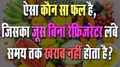 GK Questions : ऐसा कौन सा फल है, जिसका जूस बिना रेफ्रिजरेटर लंबे समय तक खराब नहीं होता है?