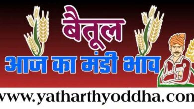 Today Mandi Bhav : आज का बैतूल मंडी भाव