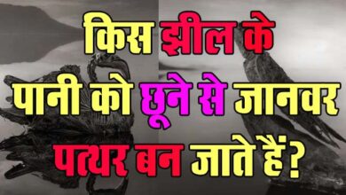 GK Questions : किस झील के पानी को छूने से जानवर पत्थर बन जाते हैं?