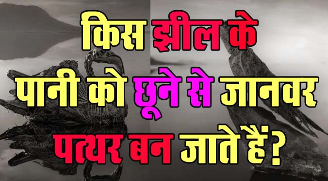 GK Questions : किस झील के पानी को छूने से जानवर पत्थर बन जाते हैं?