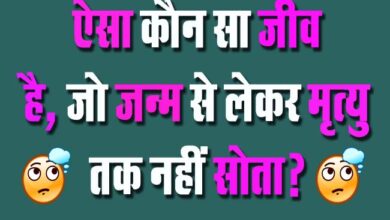 GK Questions : ऐसा कौन सा जीव है, जो जन्म से लेकर मृत्यु तक नहीं सोता?