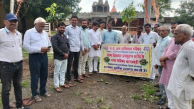 Kalapipal News