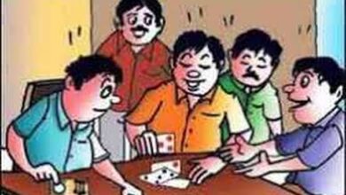 Illegal Gambling Betul