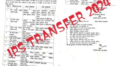 MP IPS Transfer 2024