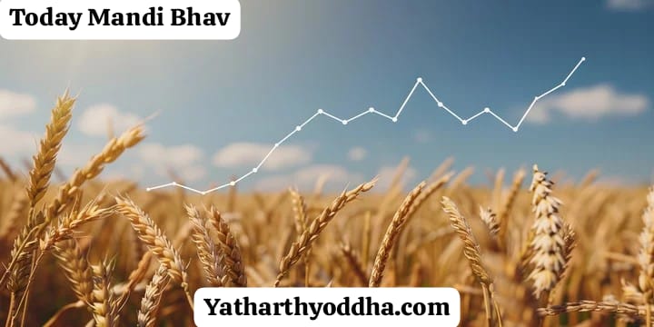 Today Mandi Bhav: किसानों की उम्मीदें