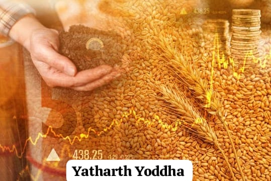 Today Mandi Bhav Betul: किसानों के लिए राहत या चिंता?